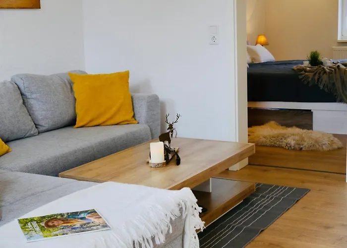 Fichte Mit Balkon #netflix #innestadtnaehe Von Harztraveler Daire